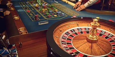 Wolf777 Live Casino Experience